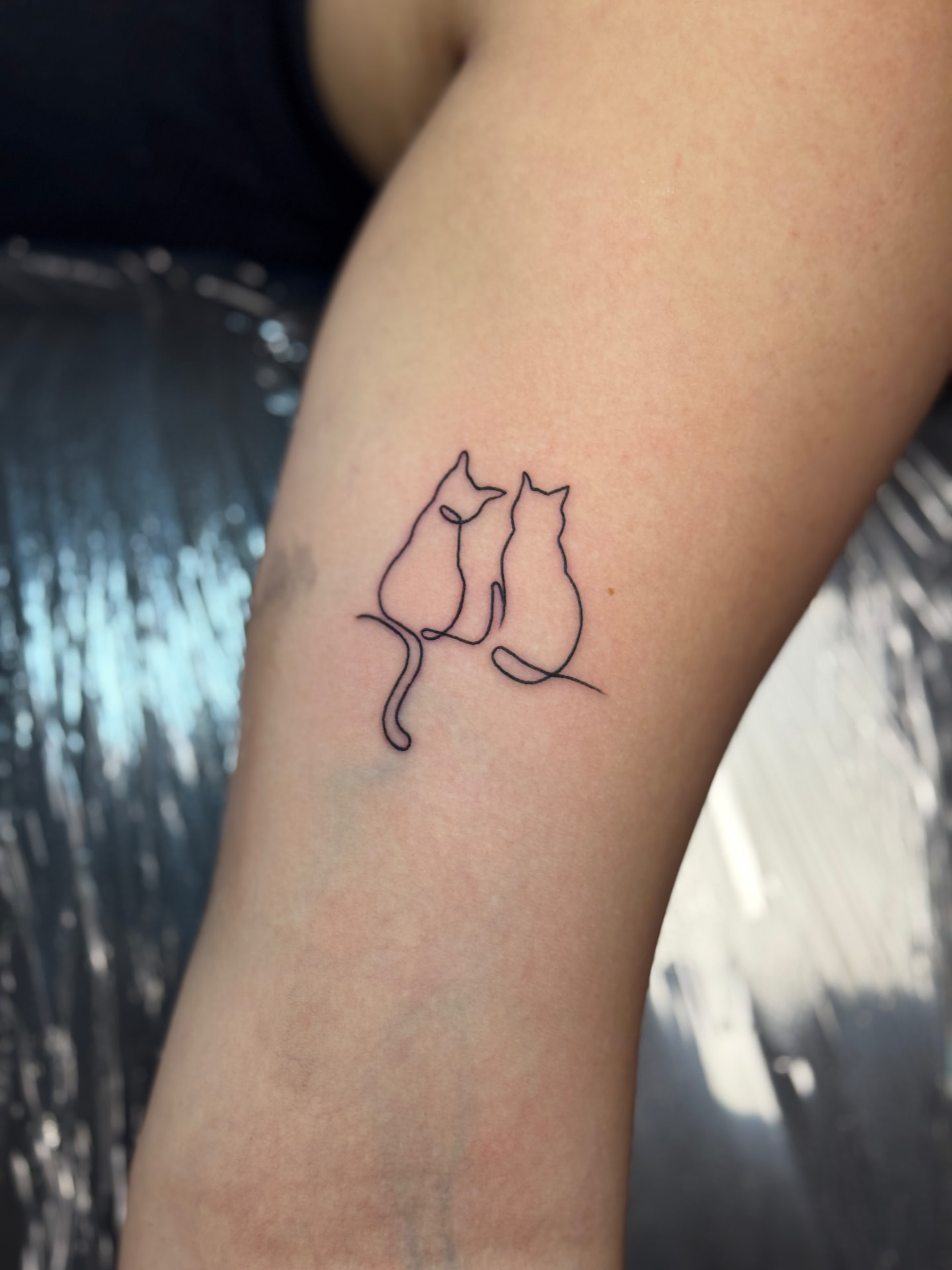 Minimales Fine-Line-Katzen-Tattoo aus einer durchgehenden Linie auf dem Arm von Omilian Tattoo in Laboe